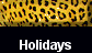  Holidays 