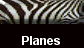  Planes 