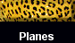  Planes 